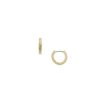 Harlow Linear Texture Goldfarbene Edelstahl-Creolen