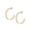 Heritage D-Link Goldfarbene Edelstahl-Creolen