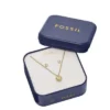 Sadie Goldfarbenes Edelstahl-Herz-Halsketten- und Ohrring-Geschenkset