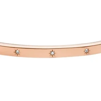 Sadie Shine Bright Armreif aus roségoldfarbenem Edelstahl