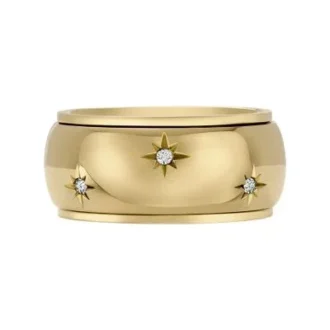 Sadie Shine Bright Goldfarbener Fidget-Bandring aus Edelstahl