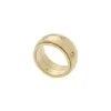 Sadie Shine Bright Goldfarbener Fidget-Bandring aus Edelstahl